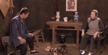 重生老婆孩子热炕头大结局视频--第1张