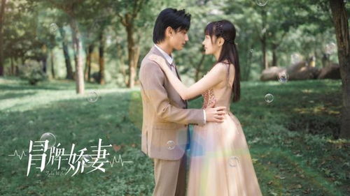 消失的娇妻大结局，情深共余生苏暖免费阅读--第1张