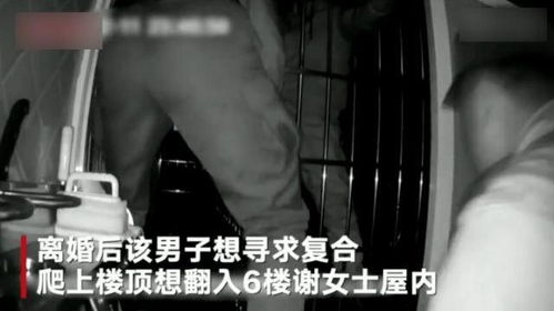 离婚当天前夫跪求我复合电视剧 离婚当天前夫跪求我复合短剧大结局 --第1张