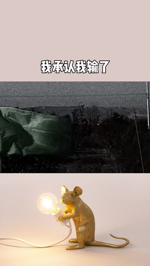 孤注一掷的爱，AA的深情追求--第1张