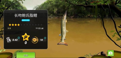 神级钓鱼佬短剧大结局免费观看之钓鱼佬的神秘宝藏--第1张