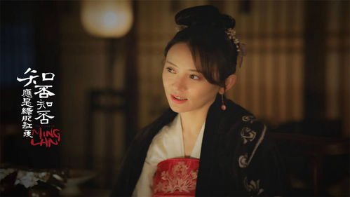新版冷王盛宠法医妃短剧大结局 新版冷王盛宠法医妃短剧大结局免费观看 --第1张