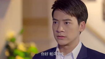 乔默叶故 霸道总裁都市情感剧乔暮寒叶晨曦大结局，爱与成长的力量 --第1张