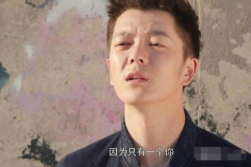神龙镇九州短剧大结局 神龙九现 --第1张