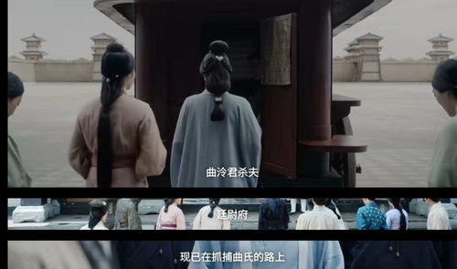 狼婿出山短剧大结局在线观看，狼婿归来--第1张