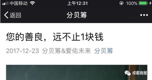 同一天我重启了一万次短剧大结局 我重复在同一天 小说 --第1张