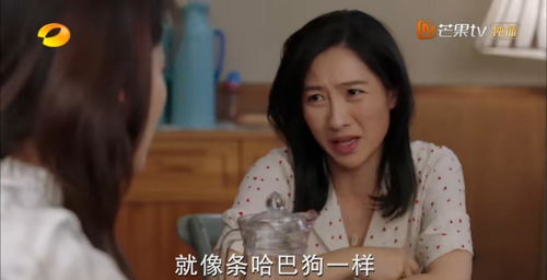 星宝妈咪守护计划短剧大结局 星宝妈咪守护计划短剧大结局免费观看 --第1张