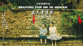 废婿擎天短剧大结局，爱情与正义的胜利--第1张