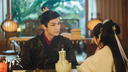 帝师王婿短剧，圆满结局--第1张