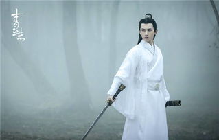 不坠青云志大结局完整版，上一句是人生何处不青云--第1张