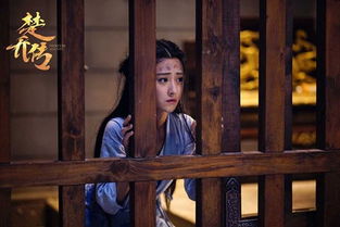 南乔传短剧大结局完整版 南乔传短剧大结局完整版在线观看 --第1张