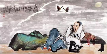 庄生梦蝶的奇幻之旅，大结局完整版--第1张