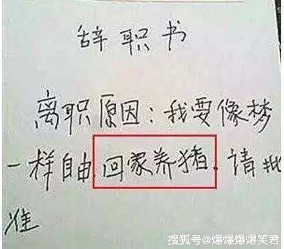 老板我要辞职创业大结局--第1张