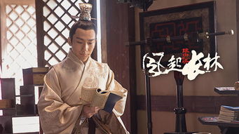 风起江水寒，江州短剧大结局完整版，风起之夜的决战与结局--第1张
