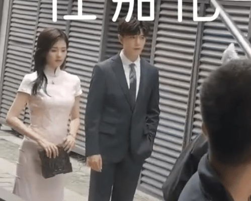 离婚后被大佬疯狂追求短剧大结局，重获新生的爱情--第1张