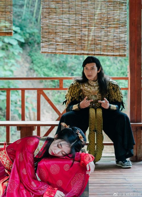 小说:冲喜 冲喜夫人霍少的锦鲤小娇妻契约新娘甜蜜蜜短剧大结局完整版 --第1张
