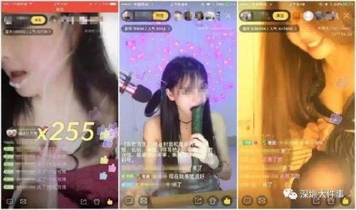 小主播纵横都市短剧大结局完整版视频 小主播纵横都市短剧大结局完整版 --第1张