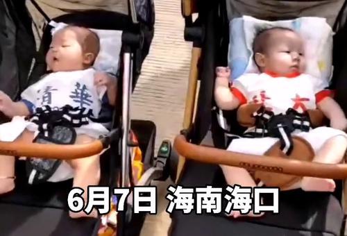 五年后，我带双胞胎炸翻前夫团，大结局--第1张