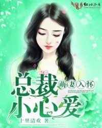 惹上叶少别想逃短剧大结局完整版 惹上总裁要小心全文免费阅读 --第1张