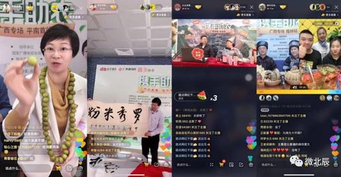 三界直播大结局，我在三界卖货的直播带货之旅--第1张