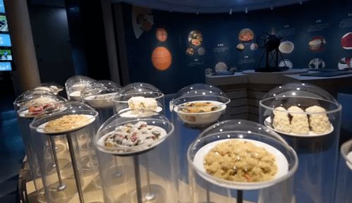 沈爷你今天 沈爷您失宠了短剧大结局完整版 --第1张