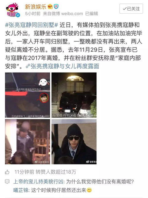 叶少给力点少夫人又要离婚了短剧大结局完整版 免费阅读叶少夫人又跑了 --第1张