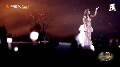昨夜如风歌曲 昨夜思念如风短剧大结局完整版 --第1张