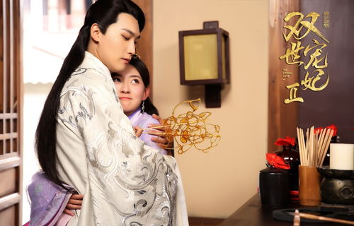 太子妃你别逃 太子妃驾到总裁你别跑短剧大结局完整版 --第1张