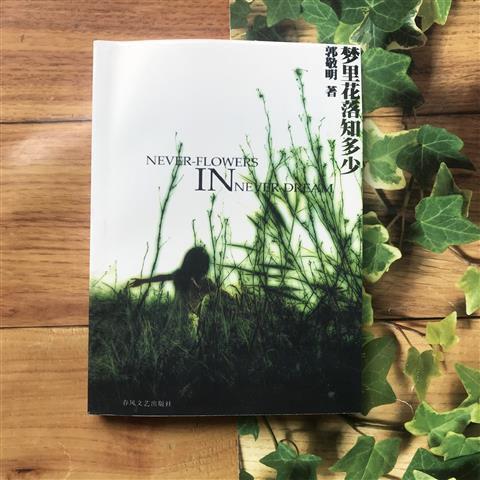 梦里花落知多少短剧大结局，花落梦醒，一切成空--第1张