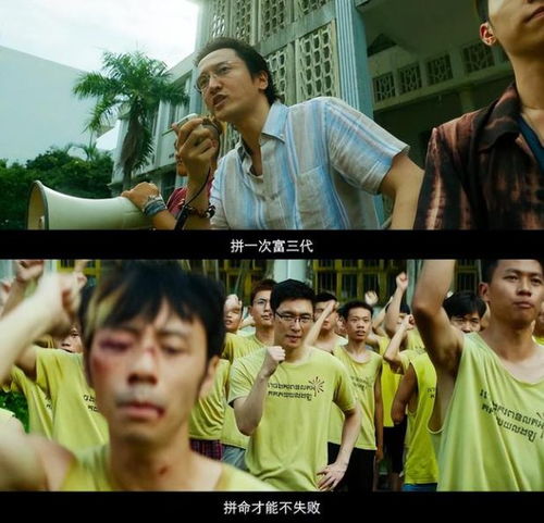 孤注一掷再见前妻，离婚后高冷女总裁痛哭流涕短剧大结局完整版--第1张