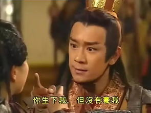 谁与争锋电视剧大结局，揭秘最终胜利者，结局震撼！--第1张