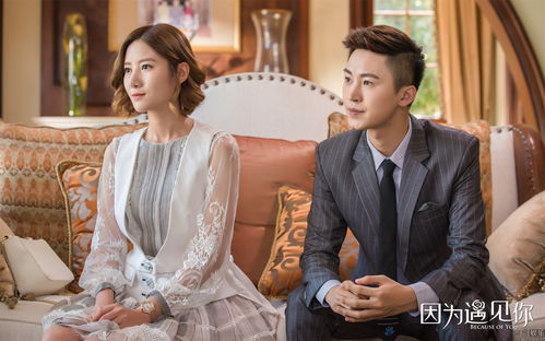 贺总夫人喊你别演了短剧大结局完整版 贺总夫人喊你别演了短剧大结局完整版免费观看 --第1张
