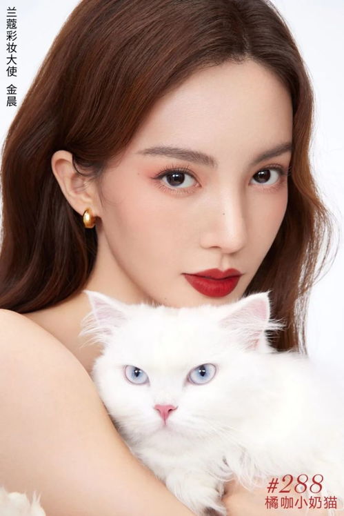 闪婚后我成了陆少的心头尖 闪婚后路少竟然是我未婚夫短剧大结局完整版 --第1张