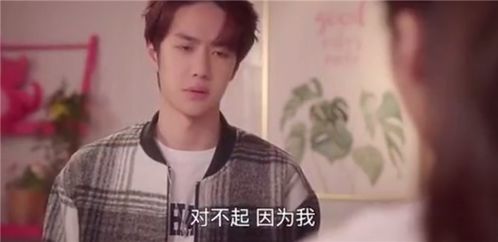 掌中玩物不做陆总金丝雀朱茉颜短剧大结局完整版  --第1张
