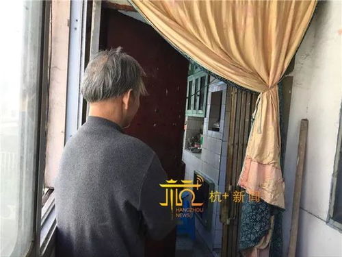 错位母爱，海霞短剧大结局完整版 错位母子--第1张