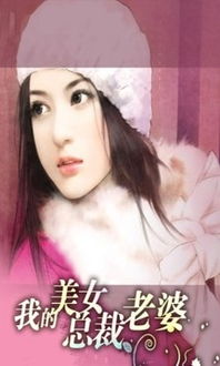 霸道总裁爱上我，我的老婆是美女总裁--第1张