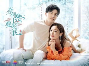 奈何BOSS要契约结婚大结局完整版--第1张