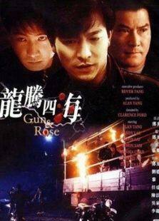 龙腾四海，短剧大结局的精彩瞬间--第1张