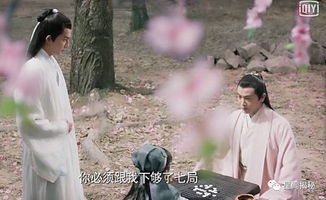 此生此生 此生一双人短剧大结局完整版 --第1张