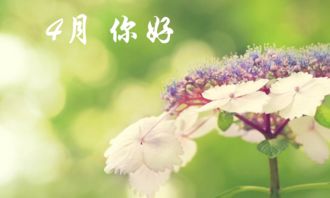 四月芳菲尽，人间皆是情--第1张