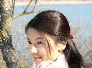 闪婚美女总裁后，我躺赢短剧大结局完整版--第1张