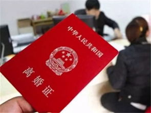 离婚当天，总裁带前妻惊艳全球，千亿婚礼大结局--第1张