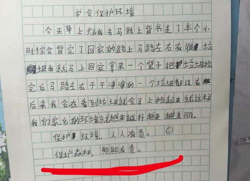 我的宿管老师作文600字 我的宿管阿姨短剧大结局完整版 --第1张