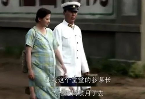 陆总别纠缠姜小姐另有新欢短剧大结局完整版 陆总别虐了夫人才是你的白月光小说免费阅读 --第1张