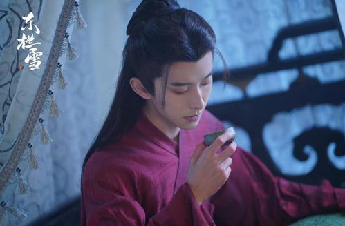 东栏雪短剧大结局完整版 东栏作品集 --第1张