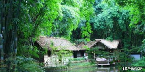 丑妻逆袭颜值惊艳全球短剧全集免费阅读--第1张