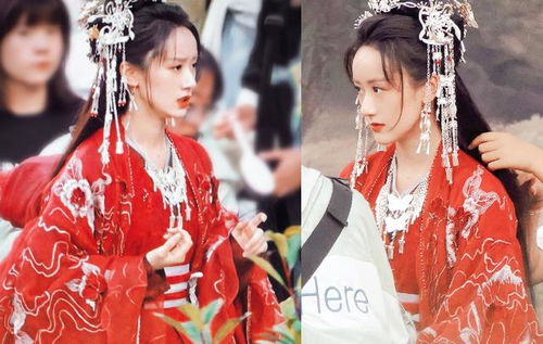 落花时节又逢君嫁给工厂大人马秋元短剧大结局完整版 落花时节又逢君大婚自刎 --第1张