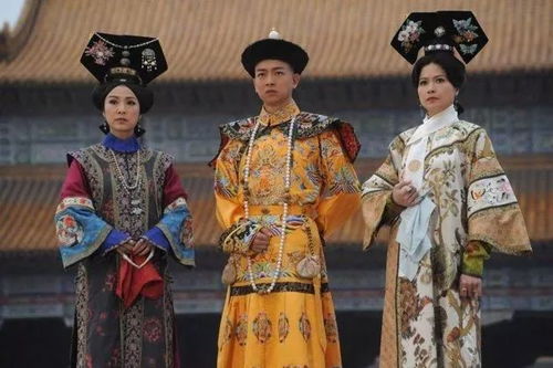 拐个皇帝来结婚短剧大结局完整版  --第1张