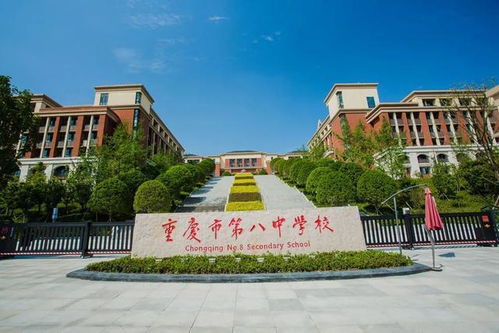 真千金横扫职场大结局，真千金凭实力称霸--第1张
