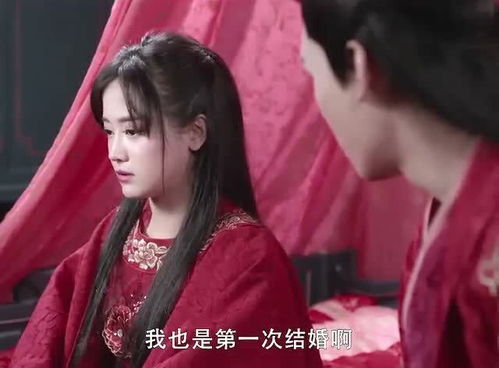 霸道王爷的娇妻，穿越丫鬟的完美结局--第1张
